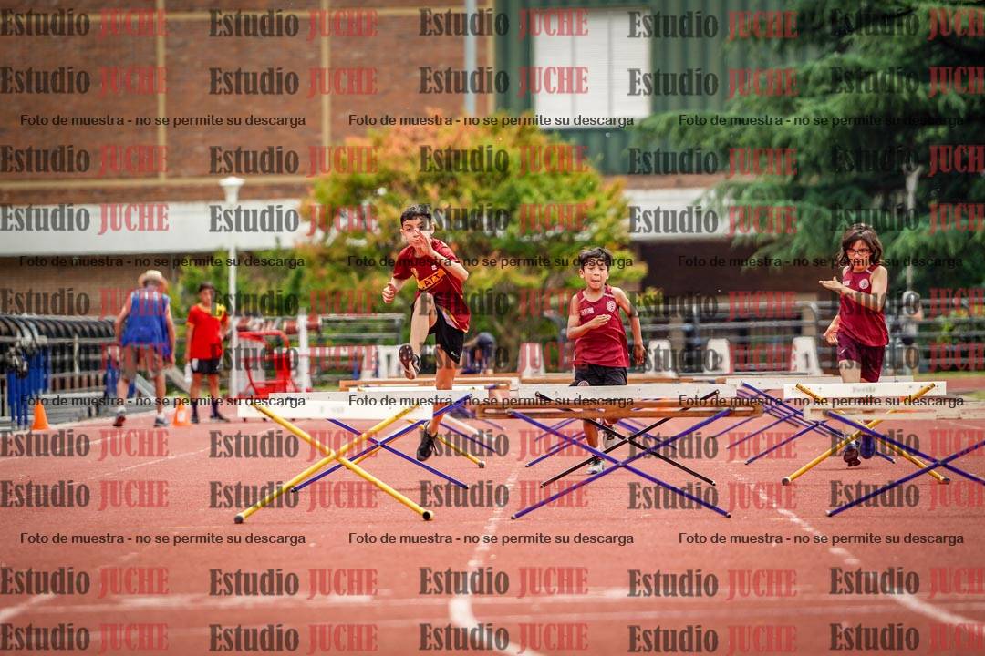 Fotos de los 60 m con vallas de varones