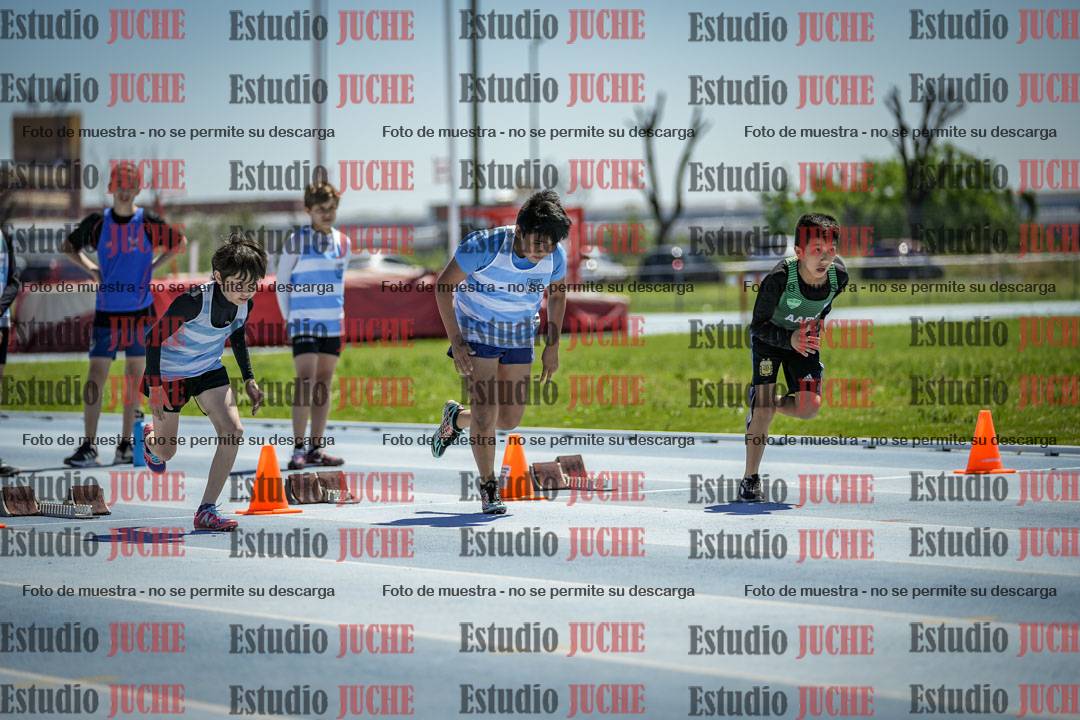 Fotos de los 60 m con vallas de varones