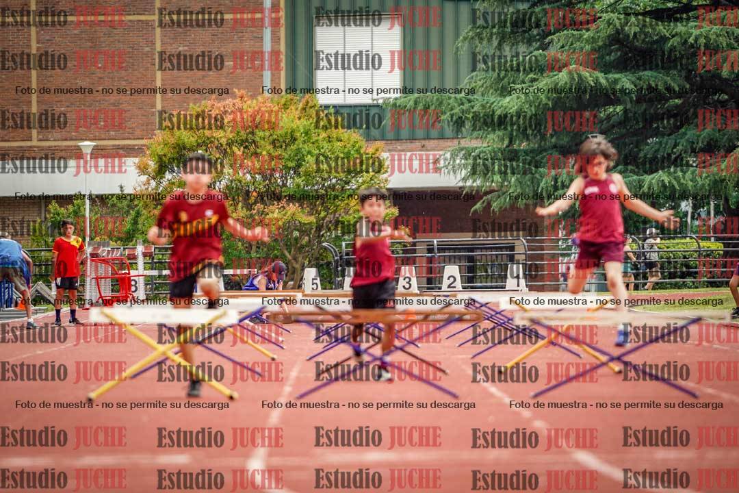Fotos de los 60 m con vallas de varones