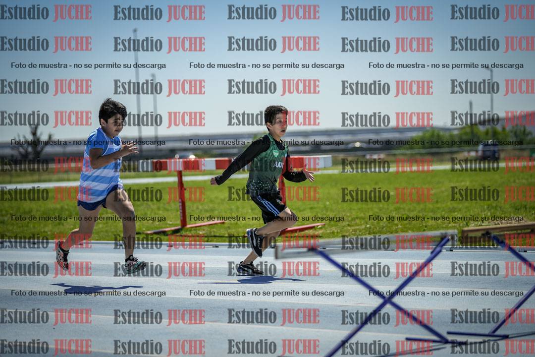 Fotos de los 60 m con vallas de varones