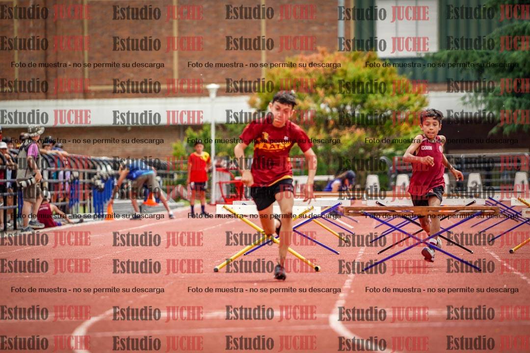 Fotos de los 60 m con vallas de varones