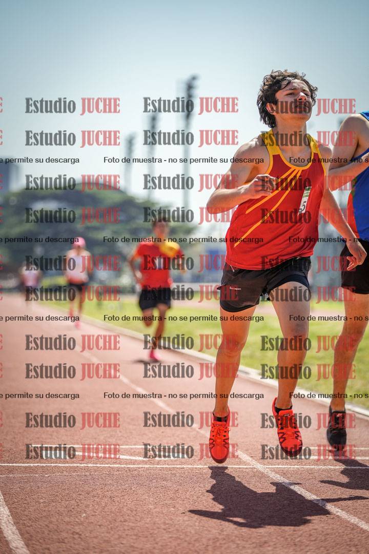 Fotos de los 800 m llanos de varones