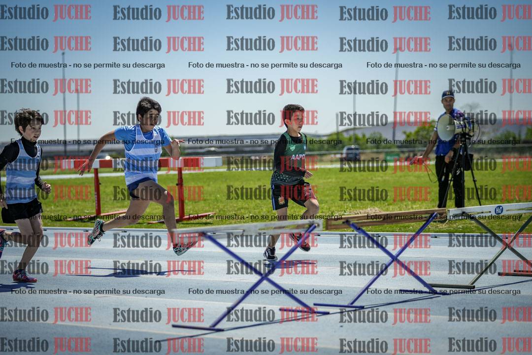 Fotos de los 60 m con vallas de varones