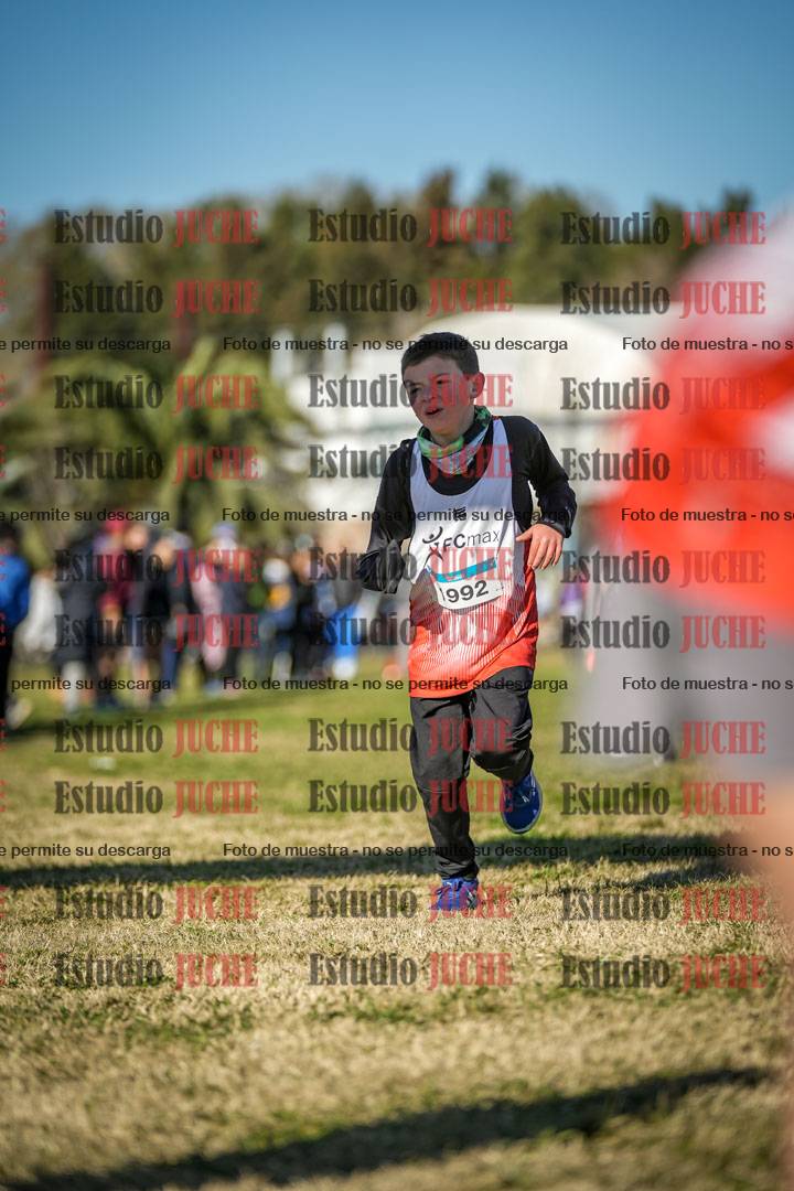 Fotos de las llegadas
