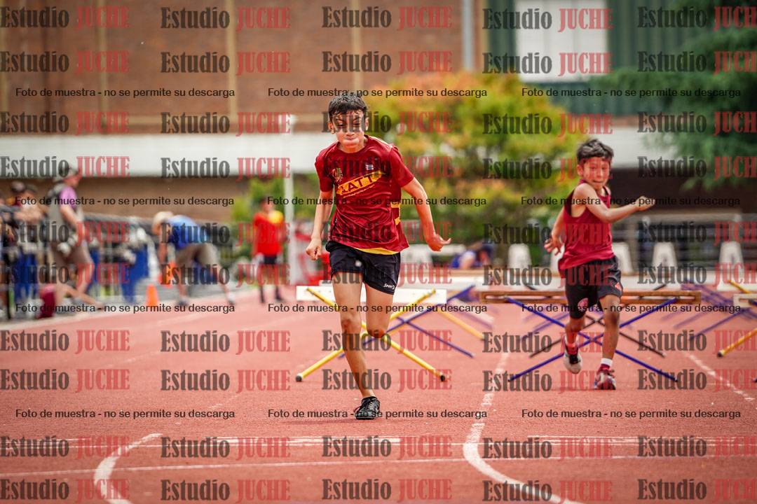 Fotos de los 60 m con vallas de varones