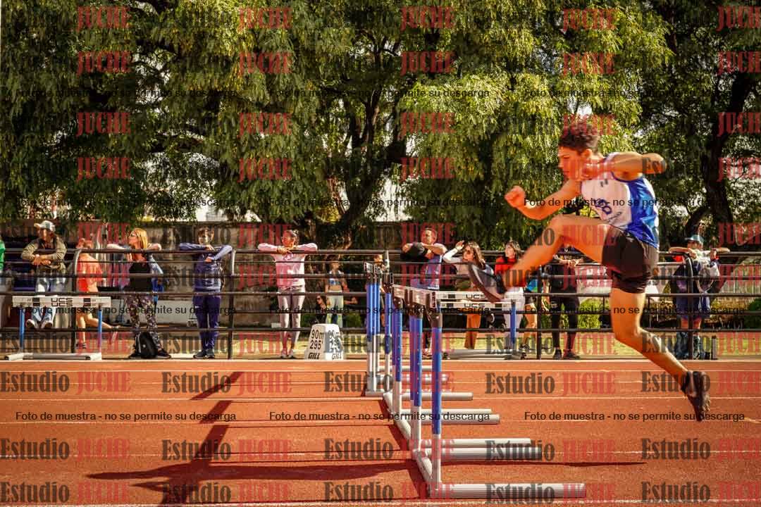 Fotos de los 110 m con vallas de varones