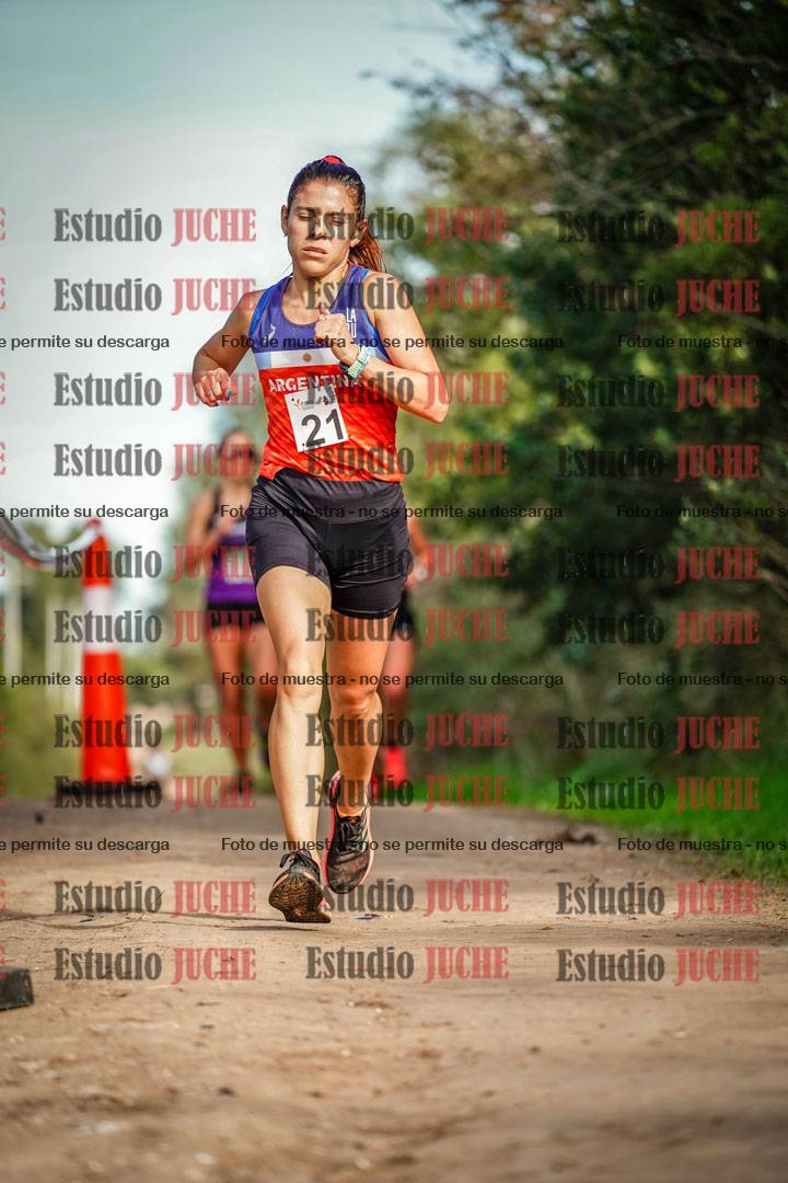 Fotos en el circuito