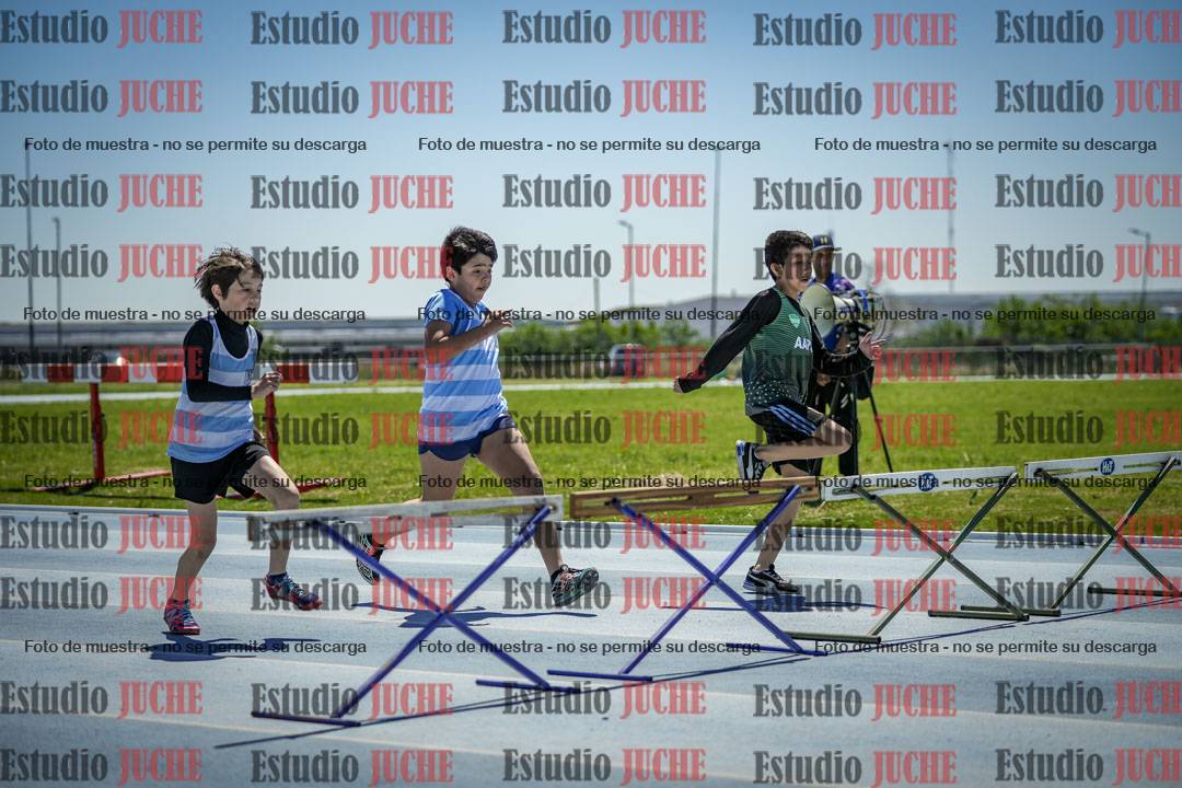 Fotos de los 60 m con vallas de varones