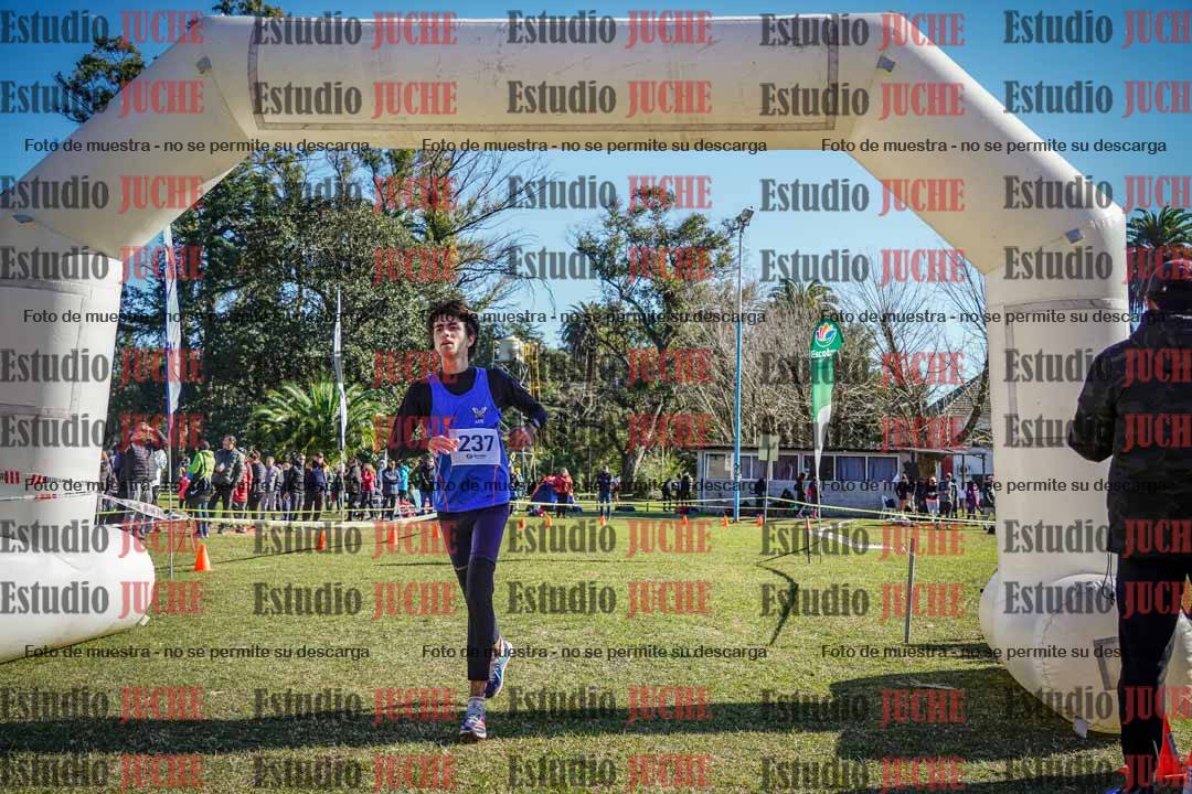 Fotos de la llegada del cross de 6000 m