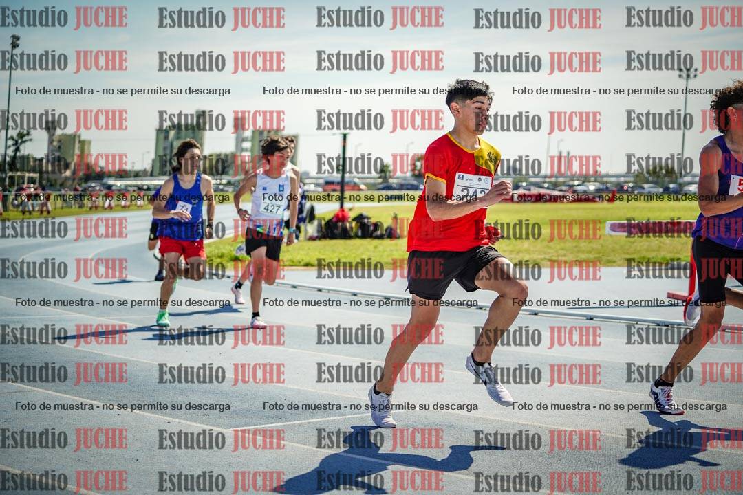 Fotos de los 800 m llanos de varones
