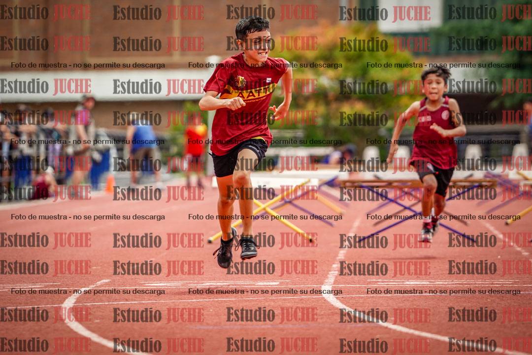 Fotos de los 60 m con vallas de varones