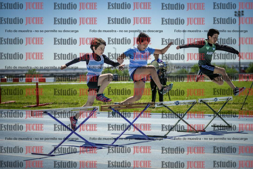 Fotos de los 60 m con vallas de varones