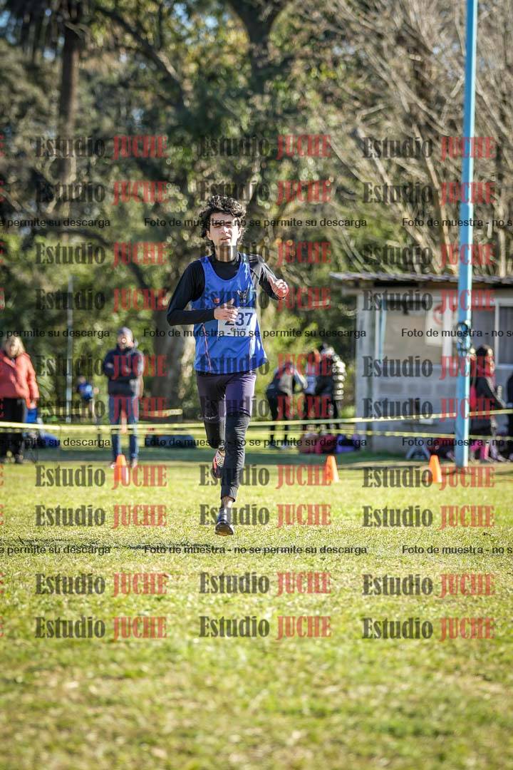 Fotos de la llegada del cross de 6000 m
