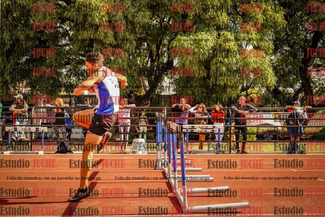Fotos de los 110 m con vallas de varones