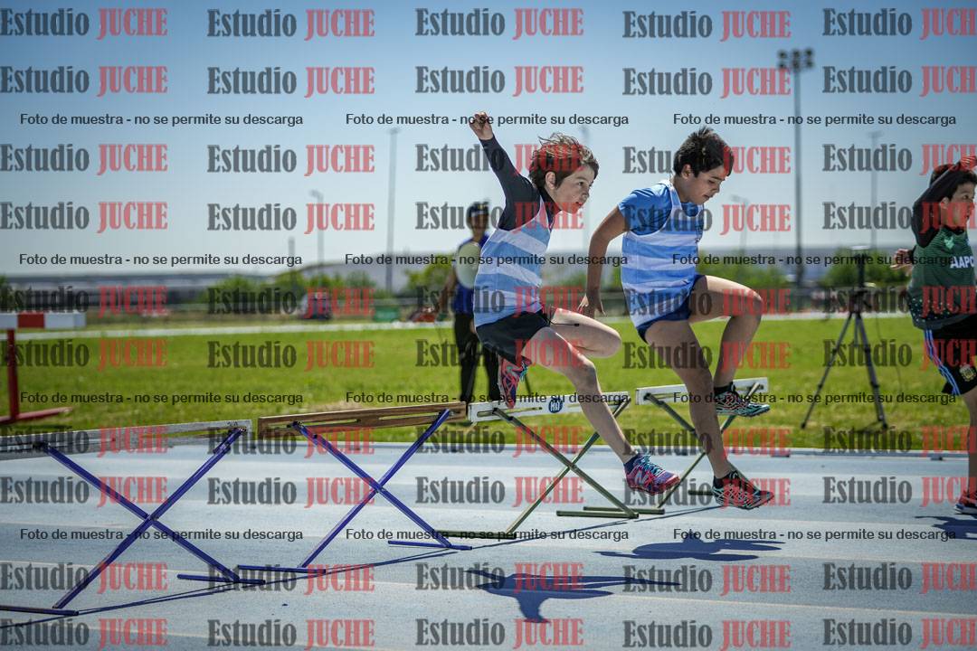Fotos de los 60 m con vallas de varones