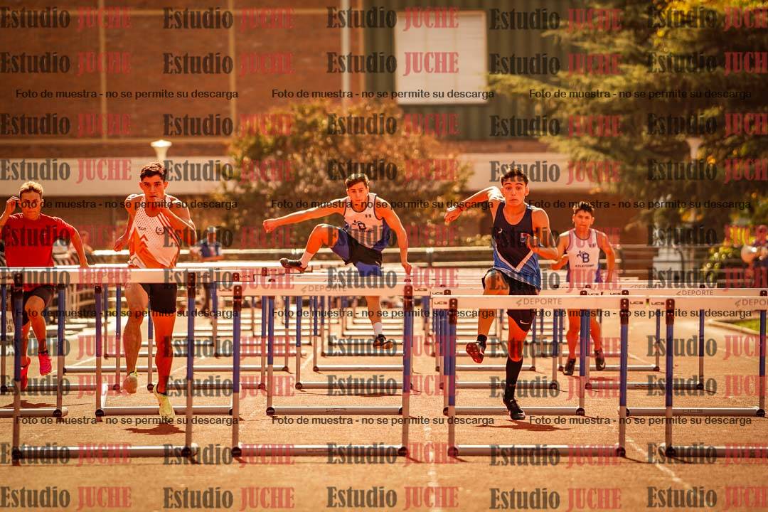 Fotos de los 110 m con vallas de varones