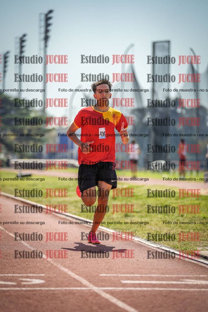 Fotos de los 800 m llanos de varones