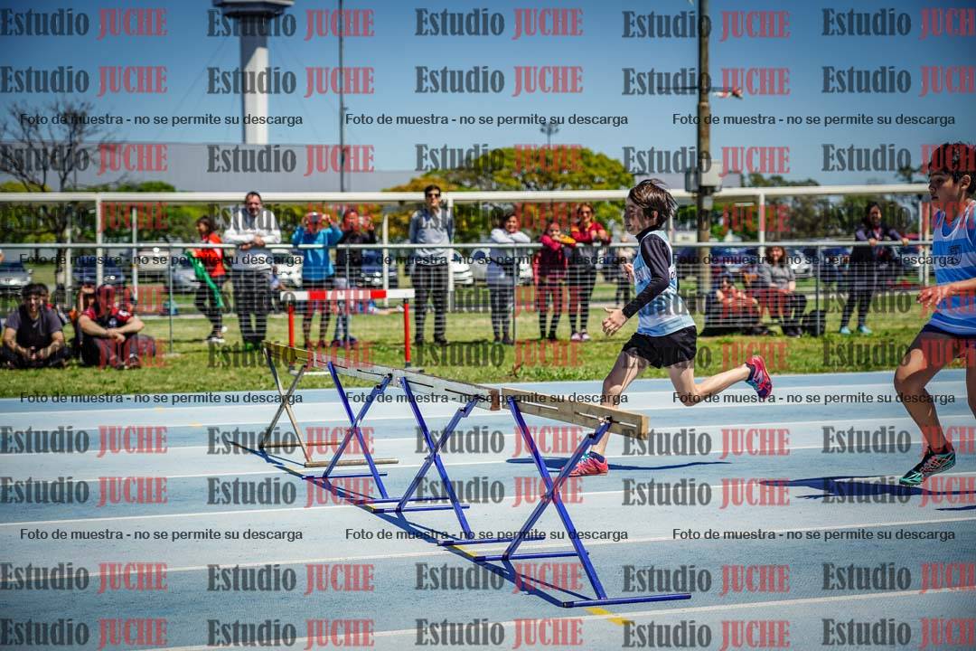 Fotos de los 60 m con vallas de varones