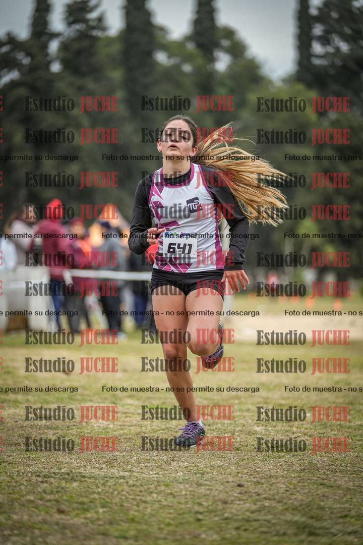 Fotos de la llegada