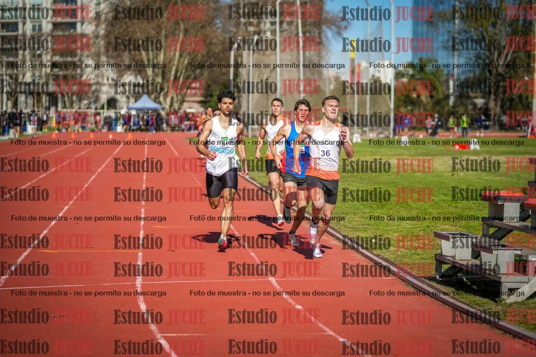 Fotos de los 800 m llanos de varones