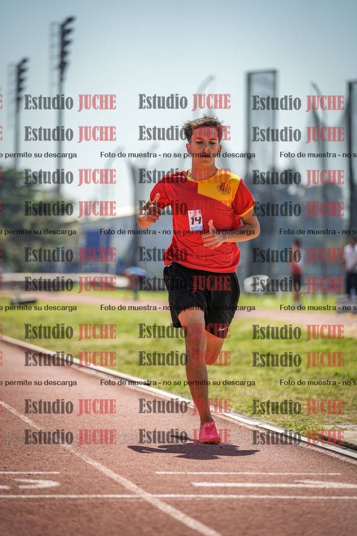 Fotos de los 800 m llanos de varones