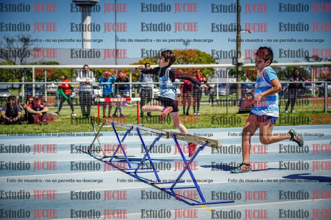 Fotos de los 60 m con vallas de varones