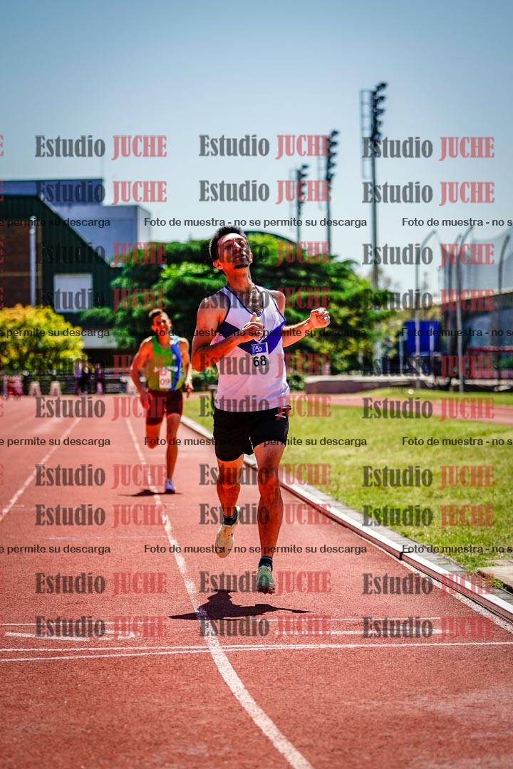 Fotos de los 800 m llanos de varones
