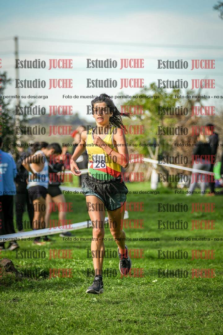 Fotos de la llegada del cross de 6000 m