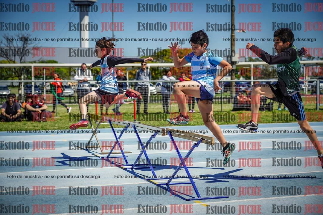 Fotos de los 60 m con vallas de varones