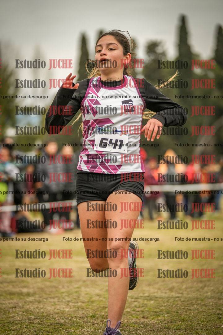Fotos de la llegada