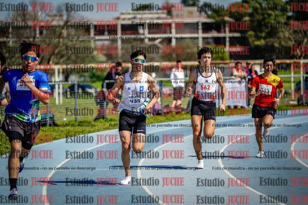 Fotos de los 800 m llanos de varones