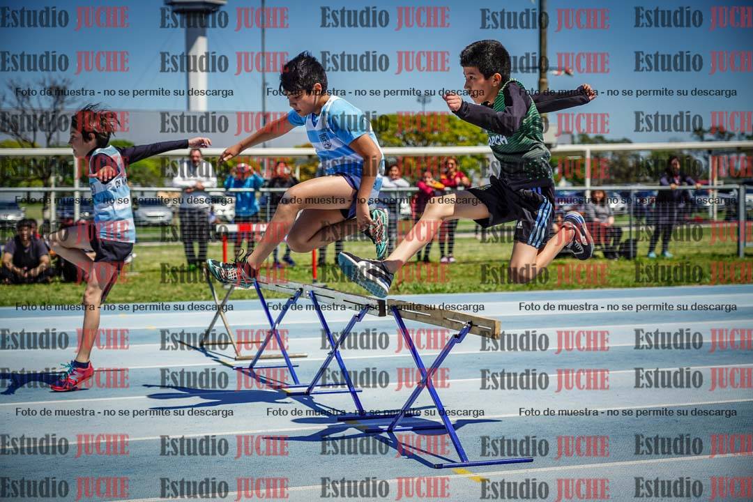 Fotos de los 60 m con vallas de varones