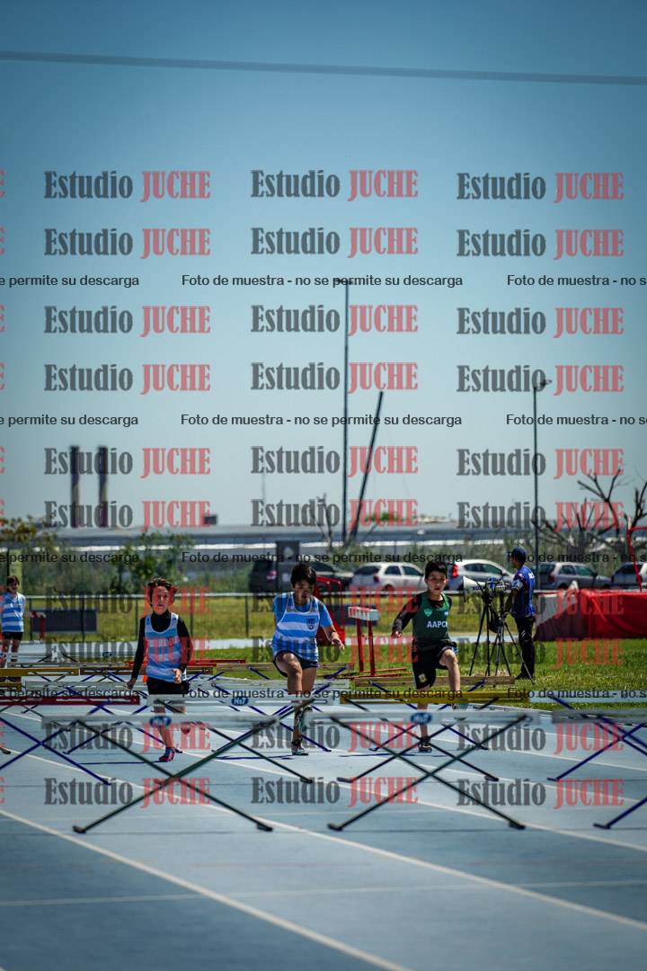 Fotos de los 60 m con vallas de varones