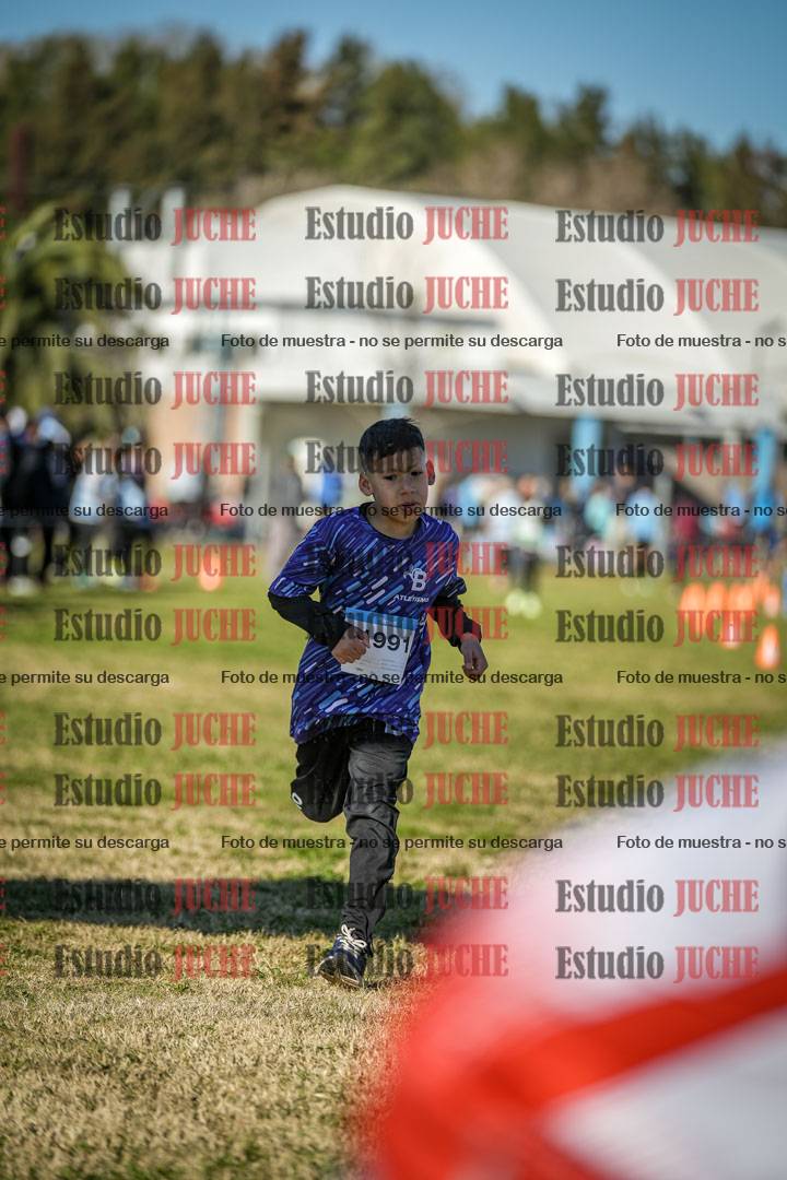 Fotos de las llegadas