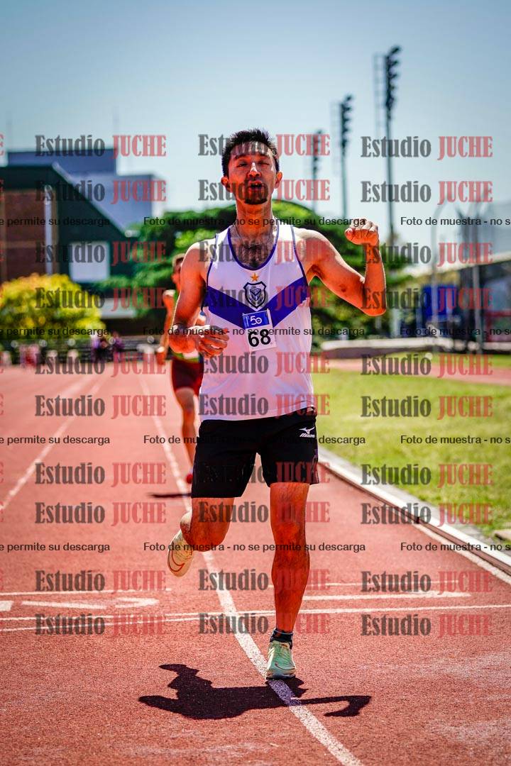 Fotos de los 800 m llanos de varones