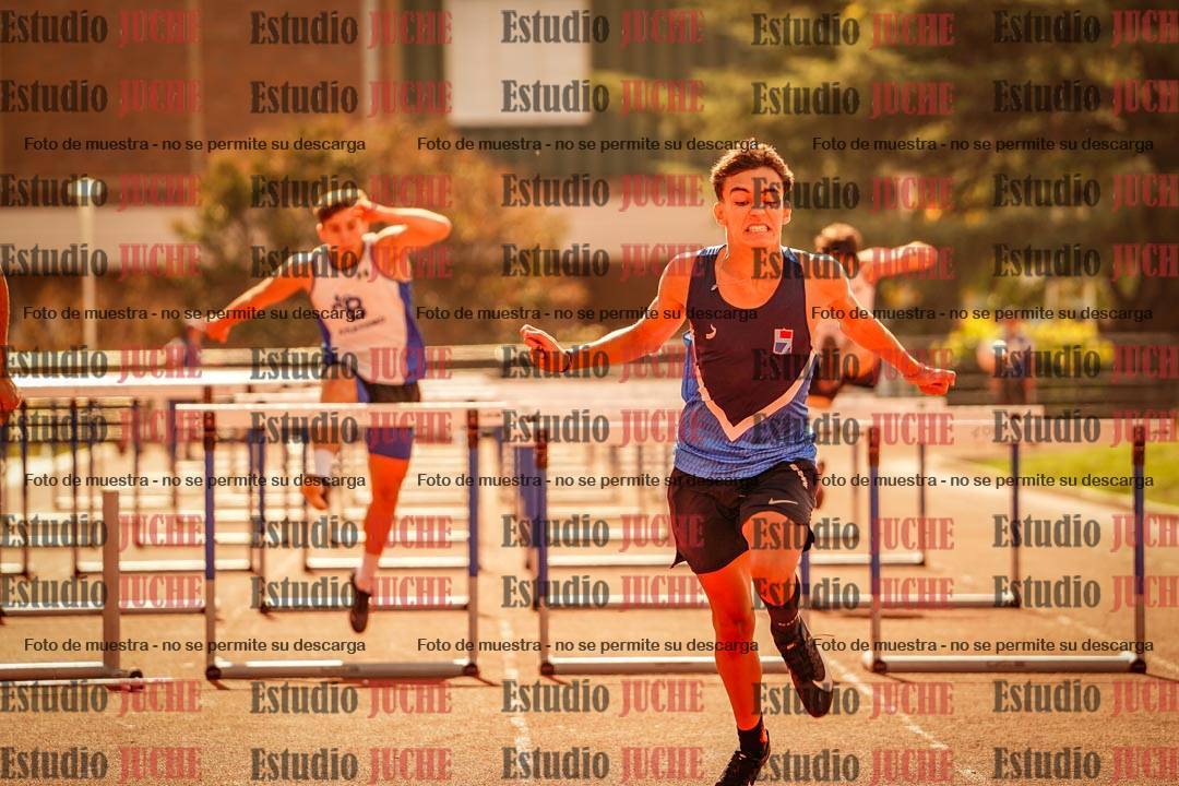 Fotos de los 110 m con vallas de varones