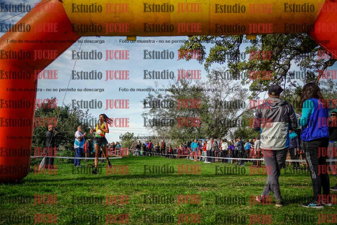 Fotos de la llegada del cross de 6000 m