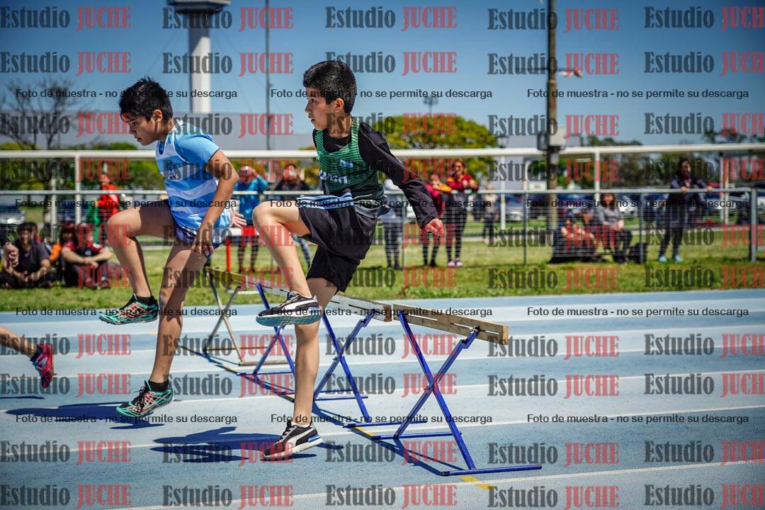 Fotos de los 60 m con vallas de varones