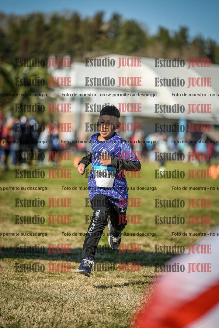 Fotos de las llegadas
