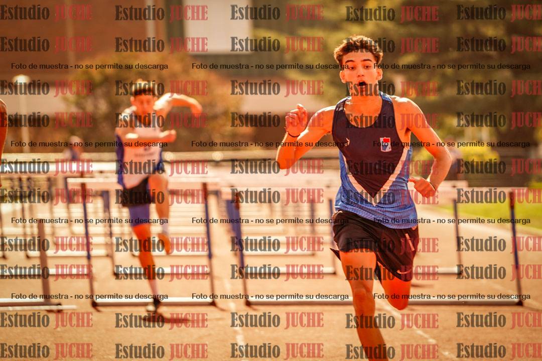 Fotos de los 110 m con vallas de varones