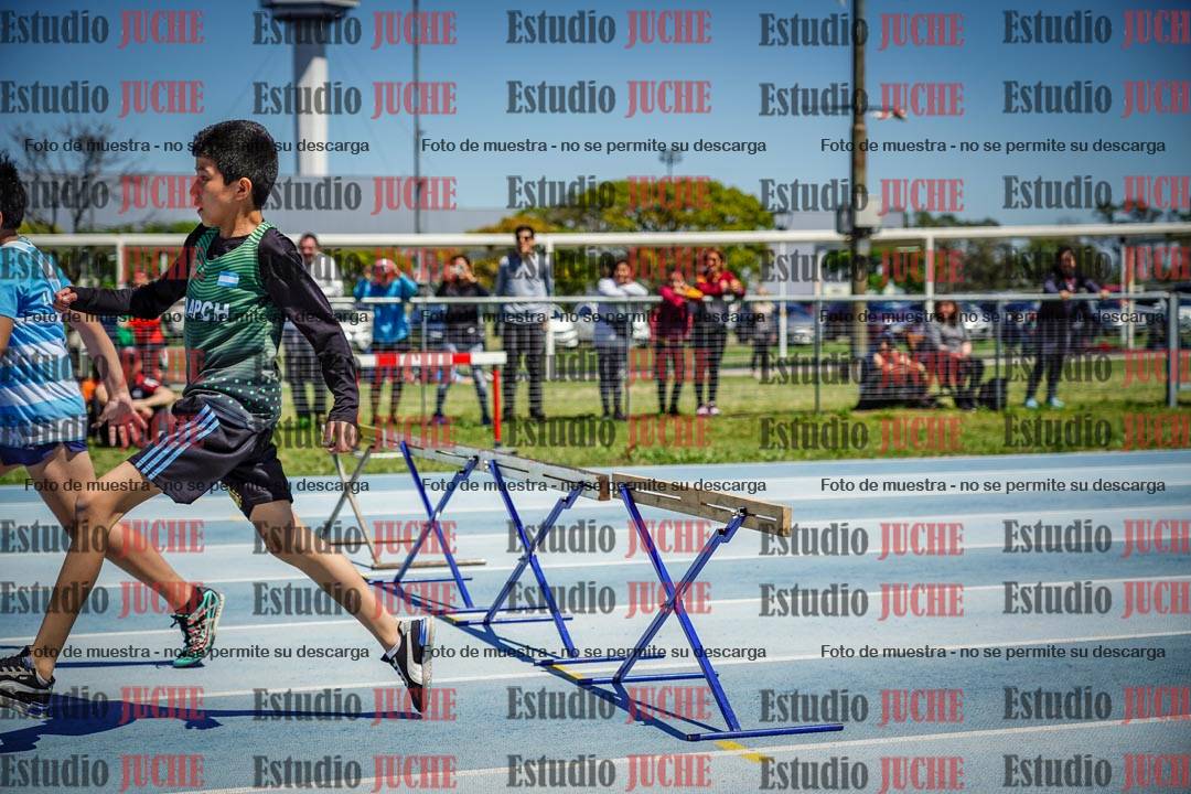 Fotos de los 60 m con vallas de varones