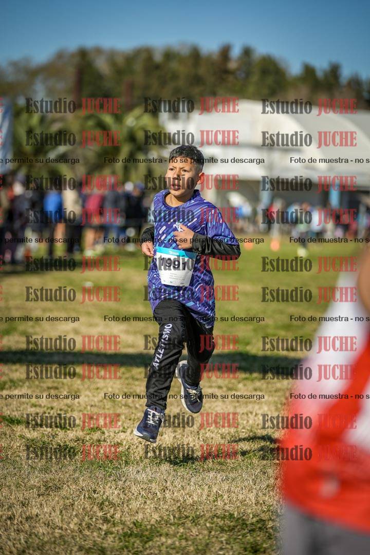 Fotos de las llegadas