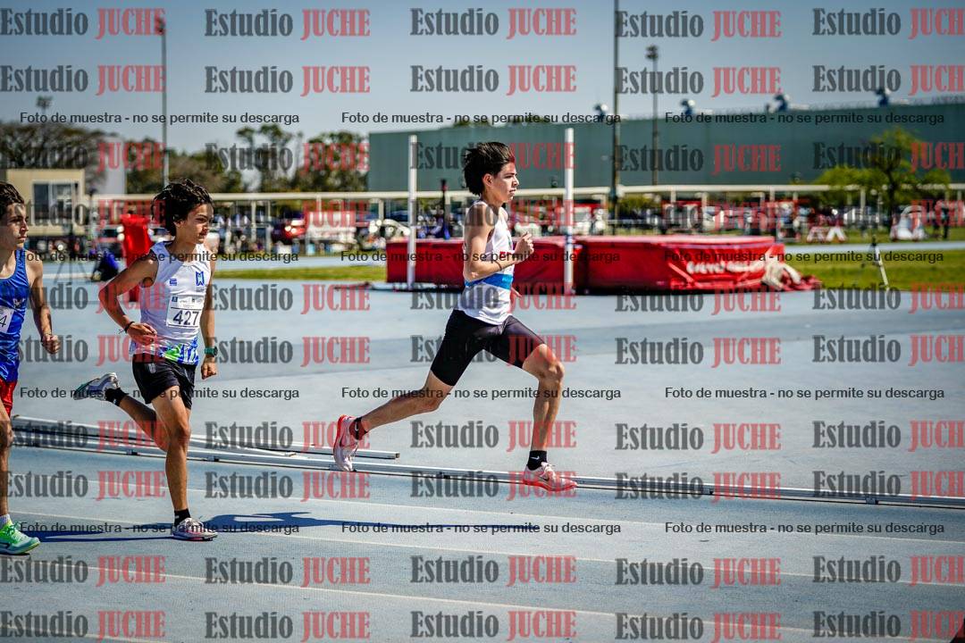 Fotos de los 800 m llanos de varones