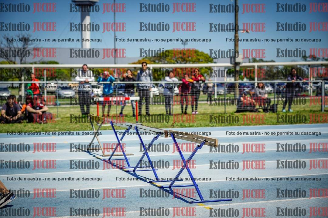 Fotos de los 60 m con vallas de varones