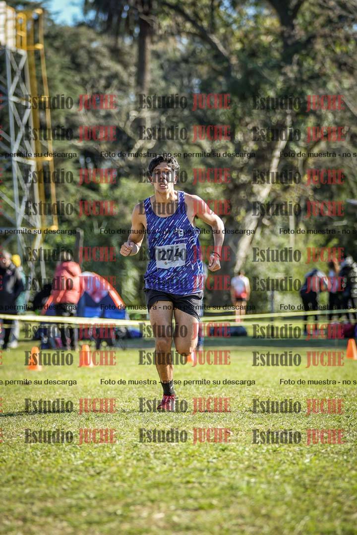 Fotos de la llegada del cross de 6000 m