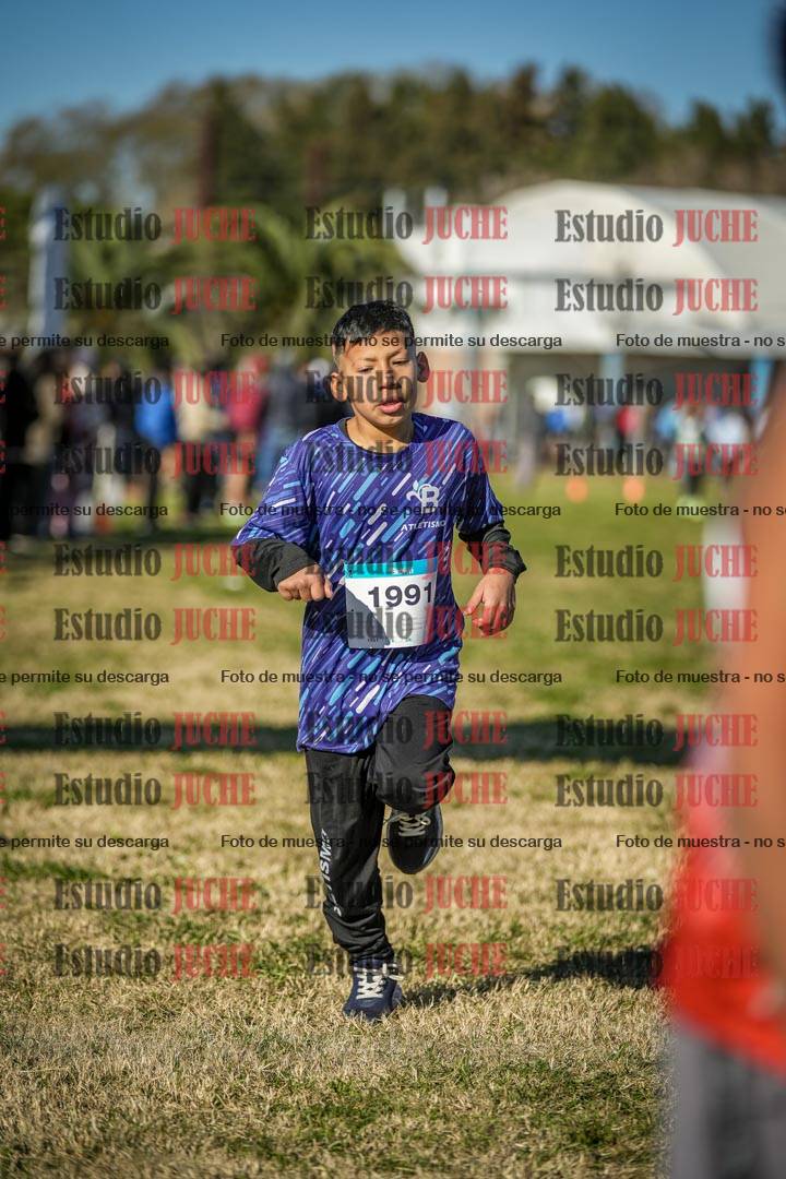 Fotos de las llegadas