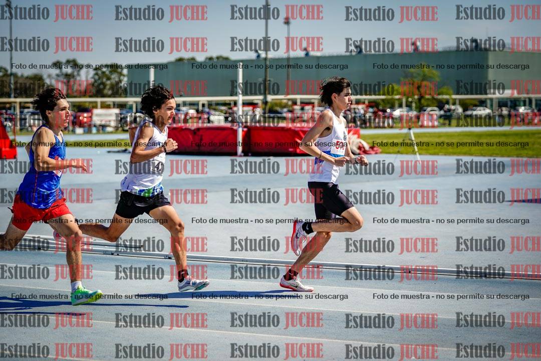 Fotos de los 800 m llanos de varones