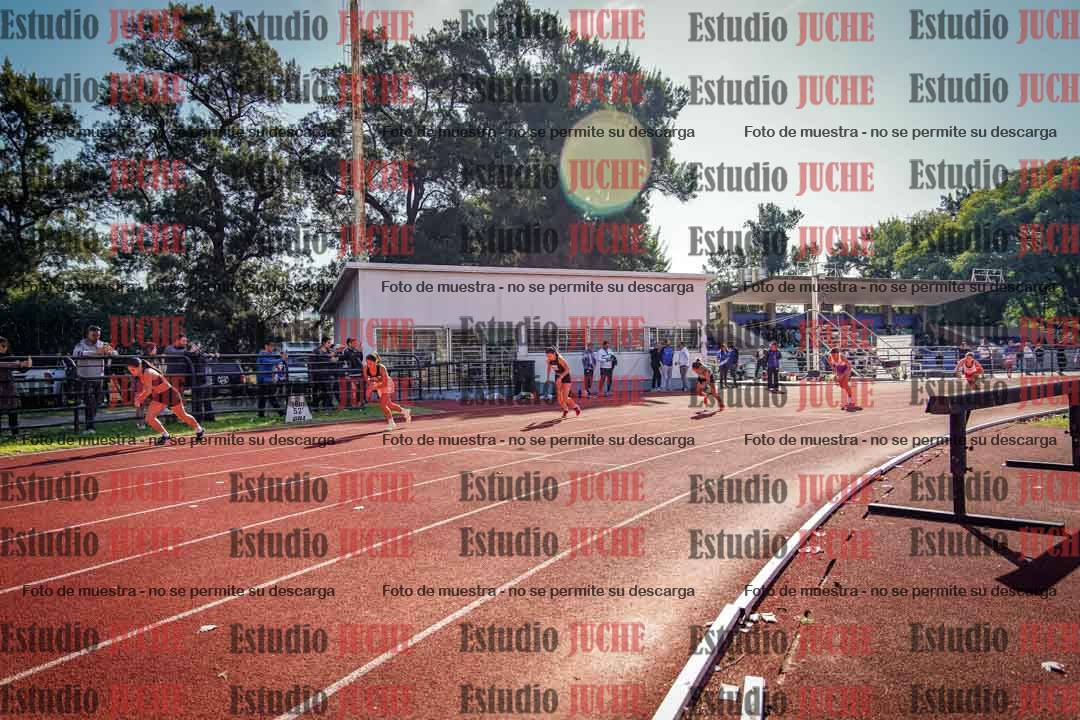 Fotos de los 800 m llanos de mujeres