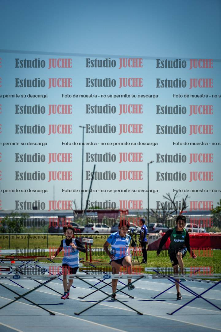 Fotos de los 60 m con vallas de varones