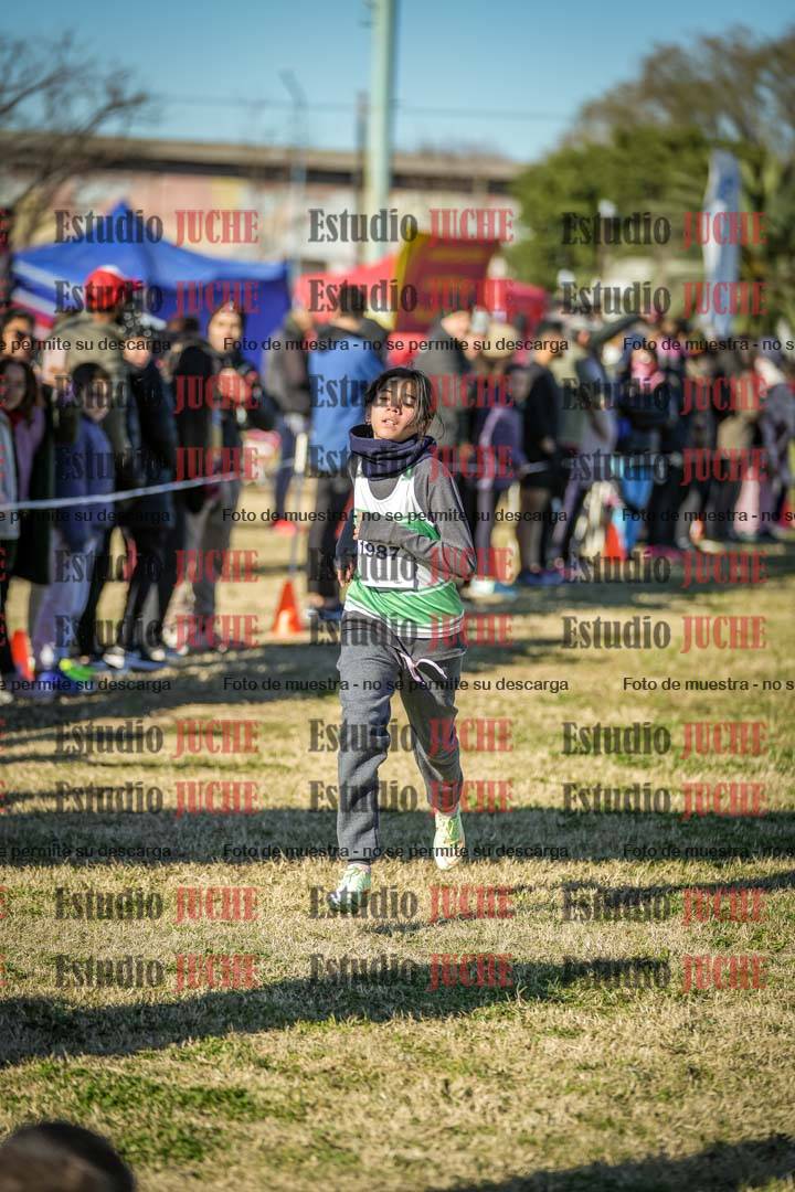 Fotos de las llegadas